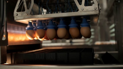Eggs are transferred to a machine that spots male embryos, Wilton, Iowa, Dec. 10, 2024.