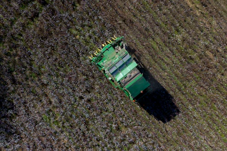 A cotton picker works in a field near Lyons, Ga., Dec. 6, 2024.