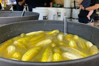 Sour pickles sit in a bucket of brine at a stall at Picklesburgh, Pittsburgh, Pa., Thursday, July 18, 2024. The festival, held just off the city's Market Square each year, brings pickle lovers and permutations of pickles together.