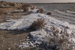 Foam along the shoreline of Holloman Lake near Alamogordo, N.M., March 13, 2019.