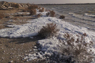 Foam along the shoreline of Holloman Lake near Alamogordo, N.M., March 13, 2019.