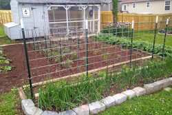 This image shows a chicken coop and garden at the home of Sarah Penny in Knoxville, Tenn., in May 2024.