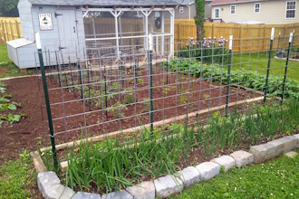 This image shows a chicken coop and garden at the home of Sarah Penny in Knoxville, Tenn., in May 2024.
