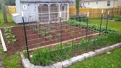 This image shows a chicken coop and garden at the home of Sarah Penny in Knoxville, Tenn., in May 2024.