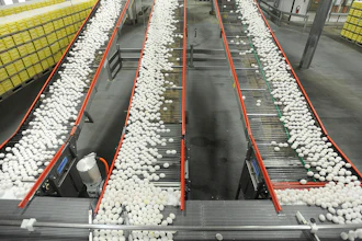Eggs on a conveyor belt at a farm in Cortland, Ind., July 28, 2012.