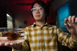 University of Chicago Pritzker School of Molecular Engineering PhD candidate Changxu Sun holds up a small malva nut and a submerged one to demonstrate how much it swells in water. Sun is harnessing this “natural hydrogel” to create new medical devices.