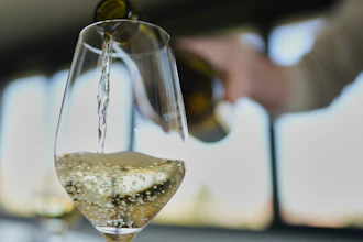 Winegrower Vincent Dampt serves a glass of Chablis wine in his office, Chablis, France, April 3, 2025.