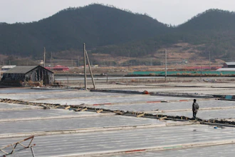 A salt farm owner on Sinui Island, South Korea, Feb. 19, 2014.