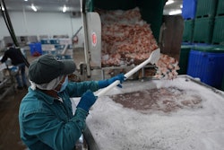 Shrimp are prepared for shipping at the Bowers Shrimp Processing plant, April 9, 2025, Palacios, Texas.