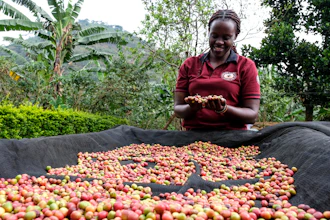 Meridah Nandudu, founder of Bayaaya Specialty coffee ltd, Mbale, Uganda, March 15, 2025.
