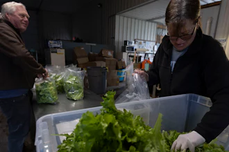 Janet Vandenberg, right, an employee of Bolton Farms, speaks with owner John Bolton as they prepare spring mix bags at Bolton Farms, March 22, 2025, Hilton, N.Y.