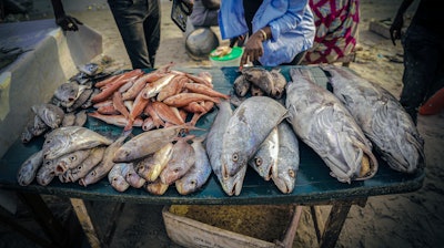 Various species of fish displayed at the Soumbedioune fish market, Dakar, Senegal, May 31, 2022.