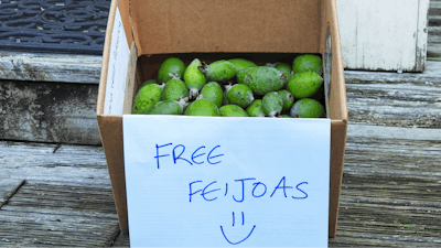 A box outside a house offering free feijoas is seen in Wellington, New Zealand, May 11, 2025.