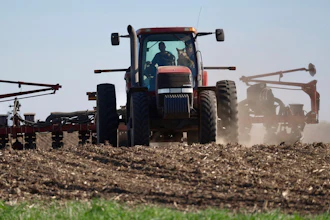 Soybeans planted near Waverly, Minn., May 8, 2025.