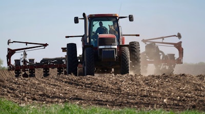 Soybeans planted near Waverly, Minn., May 8, 2025.