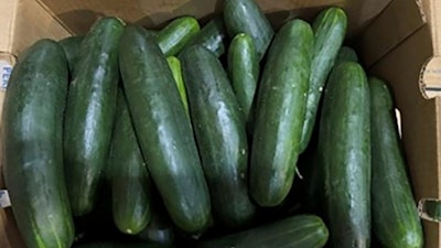 This undated photo provided by the U.S. Food and Drug Administration shows cucumbers recalled for salmonella.