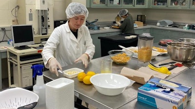 Former visiting researcher Burcu Tenderis works on the recipe for lentil hummus in a Washington State University lab.