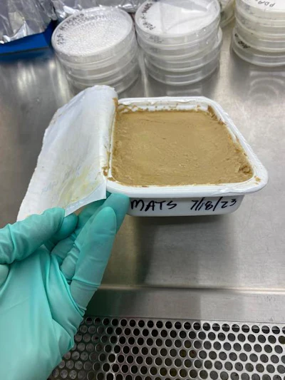 Lentil hummus after undergoing the microwave sterilization (MATS) process. It was then subjected to other tests to see how long it was safe from pathogens. The process was found to keep the hummus safe for up to two years at room temperature if unopened.