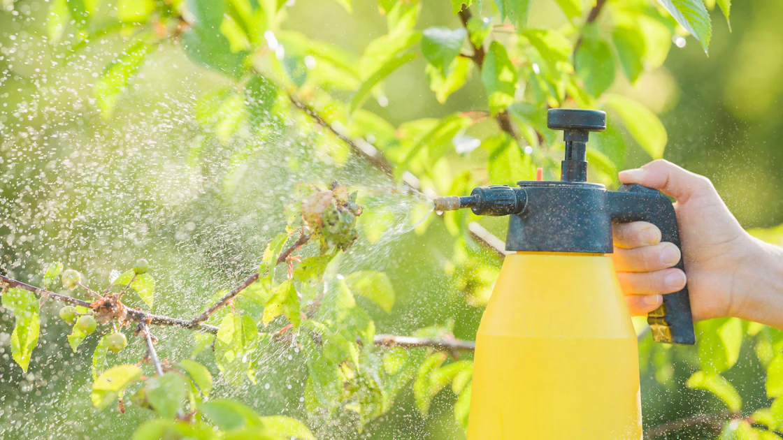 Human Killing Insect Humans Are Killing Helpful Insects in Hundreds of Ways | Food Manufacturing