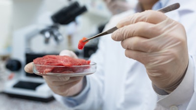 Lab-grown meat being observed.