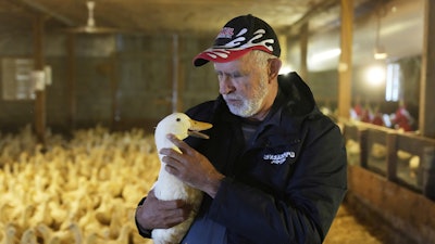 Doug Corwin picks up one of his ducks at Crescent Duck Farm, Aquebogue, N.Y., May 22, 2025.