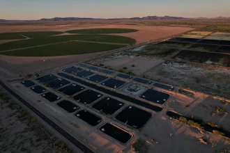 Artificial ponds for farmed fish operate near crop fields Saturday, April 19, 2025, at a Mainstream USA fish farm in Dateland, Ariz.