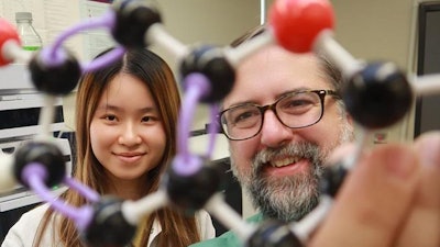 Study first author Yanxin Lin, left, and senior author Misha Kwasniewski examine the structure of the chemical catechin.
