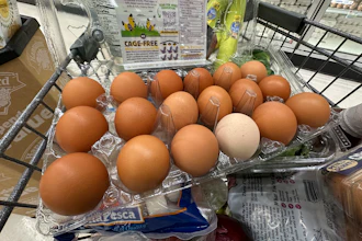 Eggs sit in a container in a shopping cart at grocery store, Monday, Jan. 27, 2025, in Windham, Maine.
