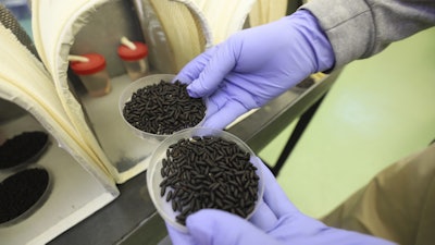 In this Jan. 2024 photo provided by The Panama-United States Commission for the Eradication and Prevention of Cattle Screwworms (COPEG), a worker holds two small containers of New World Screwworm fly pupae at a facility that breeds sterile flies in Pacora, Panama.