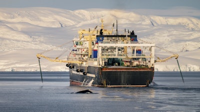 In this photo provided by Sea Shepherd, a whale swims near the krill trawler Fu Xing Hai with mountains of the Antarctic Peninsula in the background, on April 2, 2025.