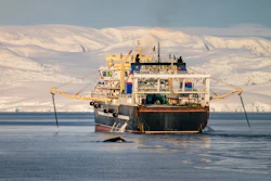 In this photo provided by Sea Shepherd, a whale swims near the krill trawler Fu Xing Hai with mountains of the Antarctic Peninsula in the background, on April 2, 2025.