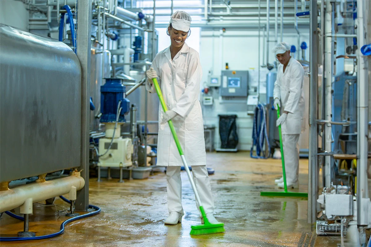 Visualize Food Safety by Optimizing and Evolving Your Color-Coding ...