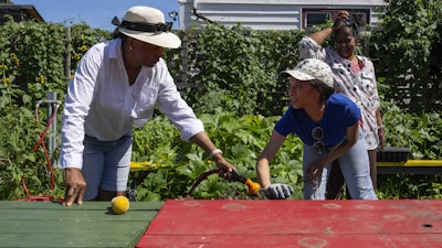 Fany White, right, and Hazel White, family of Alicia White, who is the president and founder of the Project Petals, work at Paradise Community Garden, Friday, Aug. 8, 2025, in Inwood, N.Y.