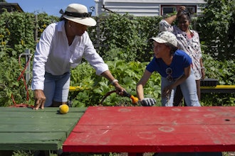 Fany White, right, and Hazel White, family of Alicia White, who is the president and founder of the Project Petals, work at Paradise Community Garden, Friday, Aug. 8, 2025, in Inwood, N.Y.