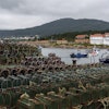Octopus traps sit on the Port of Lira on Tuesday, June 24, 2025, in Lira, Spain, during an unusually long octopus fishing pause period.