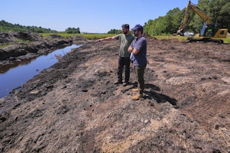 Cranberry grower Jarrod Rhodes points out to engineer Robert Kennedy, right, the path of water flow at a cranberry bog being restored to a natural habitat at the South Meadow Bogs, Thursday, Aug. 7, 2025, in Carver, Mass.