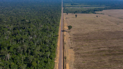 Highway BR-163 stretches between the Tapajos National Forest, left, and a soy field in Belterra, Para state, Brazil, on Nov. 25, 2019.