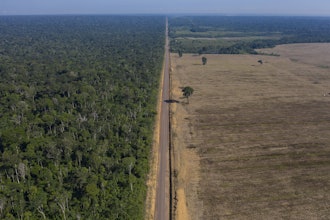 Highway BR-163 stretches between the Tapajos National Forest, left, and a soy field in Belterra, Para state, Brazil, on Nov. 25, 2019.