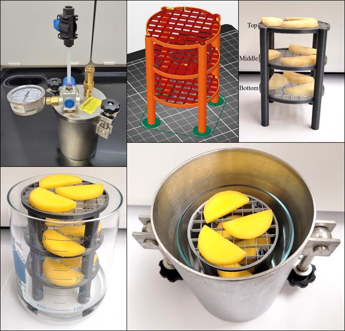 A pilot test of a system using vacuum and calcium chloride successfully dried apple and mango.