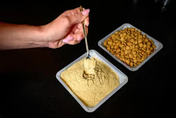 A tray of modified brewer’s yeast (left) and the dog kibble used in the feeding study at Illinois.