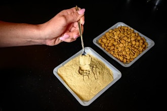 A tray of modified brewer’s yeast (left) and the dog kibble used in the feeding study at Illinois.