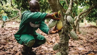 Nestle Develops Novel Technique Feed jpg