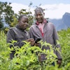 Alex Maere, right, uses the Ulangizi AI chatbot with a fellow farmer in Mulanje, southern Malawi, Tuesday, July 29, 2025.