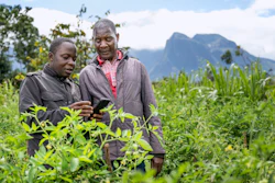 Alex Maere, right, uses the Ulangizi AI chatbot with a fellow farmer in Mulanje, southern Malawi, Tuesday, July 29, 2025.