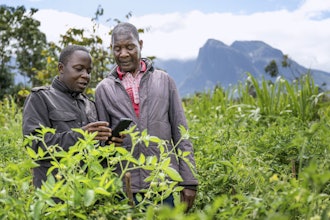 Alex Maere, right, uses the Ulangizi AI chatbot with a fellow farmer in Mulanje, southern Malawi, Tuesday, July 29, 2025.