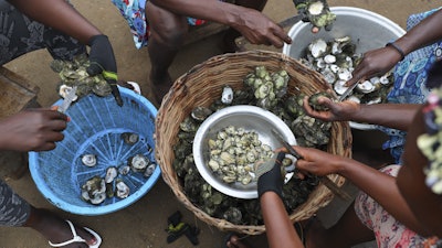 Women open freshly cooked oysters in Tsokomey, Ghana, Aug. 6, 2025.