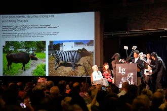 The Ig Nobel Prize for biology is accepted by Tomoki Kojima, Kazato Oishi, Yasushi Matsubara, Yuki Uchiyama, Yoshihiko Fukushima, Naoto Aoki, Say Sato, Tatsuaki Masuda, Junichi Ueda, Hiroyuki Hirooka and Katsutoshi Kino, Boston, Sept. 18, 2025.