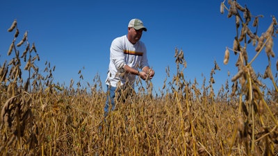 Brian Warpup inspects one of his soybean fields in Warren, Ind., Sept. 11, 2025.