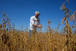 Brian Warpup inspects one of his soybean fields in Warren, Ind., Sept. 11, 2025.