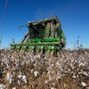 A cotton picker moves through Chris Hopkins' cotton field, Dec. 6, 2024, near Lyons, Ga.